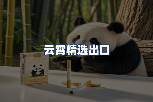 云霄精选出口