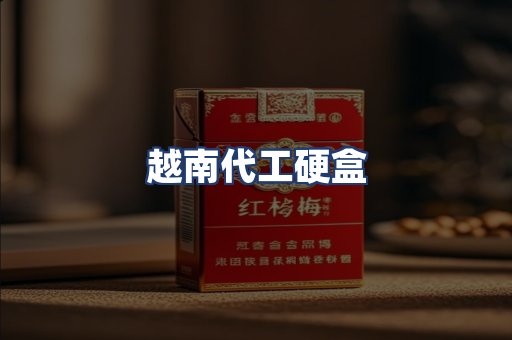 越南代工硬盒